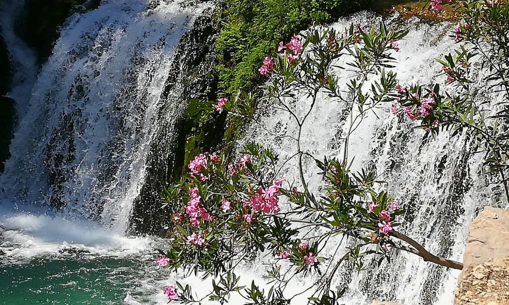 Водопад Альгара