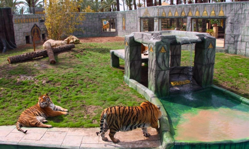 Зоопарк Rio safari Elche в Аликанте